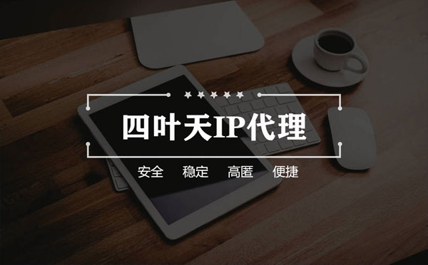 【内江代理IP】如何快速搭建代理IP？怎么检查代理的效果？